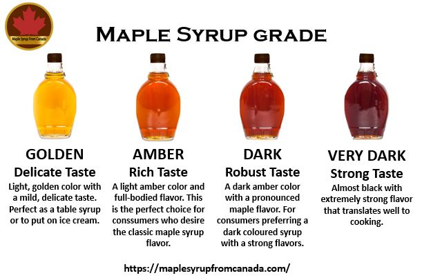 Why dark-grade maple syrup is produced in warm weather